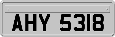 AHY5318