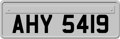 AHY5419