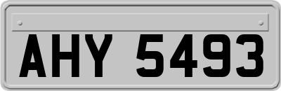 AHY5493