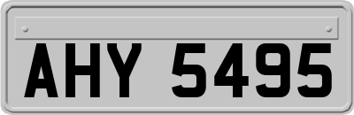 AHY5495