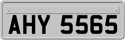 AHY5565