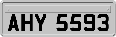 AHY5593
