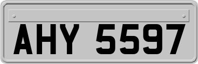 AHY5597