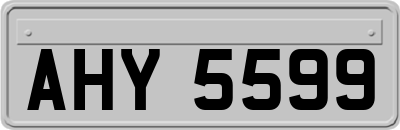 AHY5599