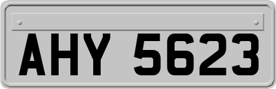 AHY5623