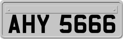 AHY5666