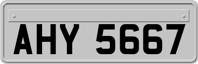 AHY5667