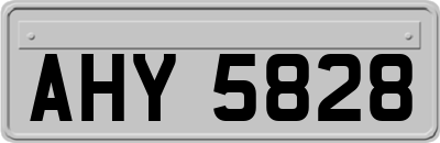 AHY5828