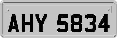 AHY5834