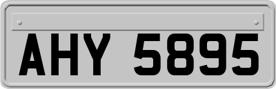 AHY5895