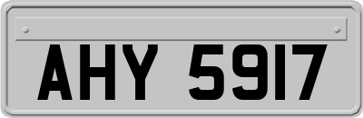 AHY5917