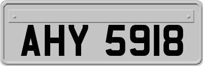 AHY5918