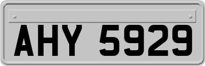 AHY5929