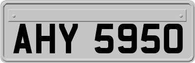 AHY5950