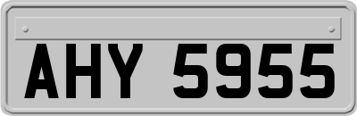 AHY5955