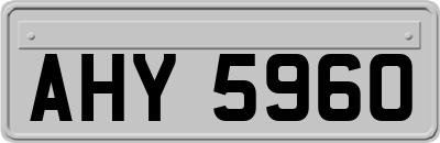 AHY5960