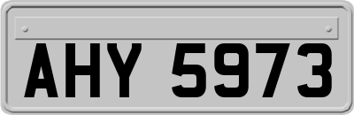 AHY5973