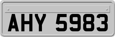 AHY5983