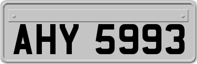 AHY5993