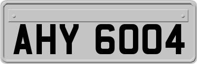 AHY6004