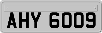 AHY6009