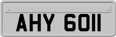 AHY6011