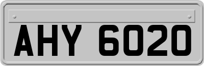 AHY6020