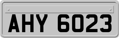 AHY6023