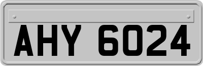 AHY6024