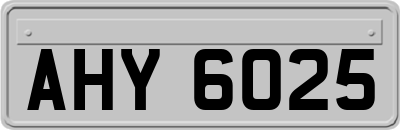 AHY6025