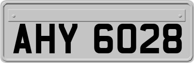 AHY6028