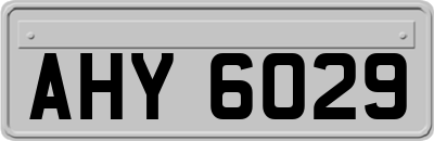 AHY6029