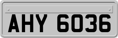 AHY6036