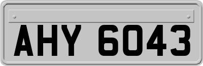 AHY6043