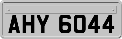 AHY6044