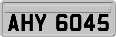 AHY6045