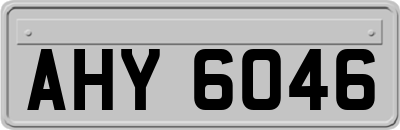 AHY6046