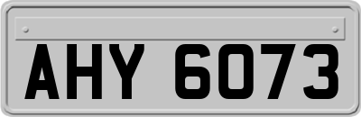 AHY6073