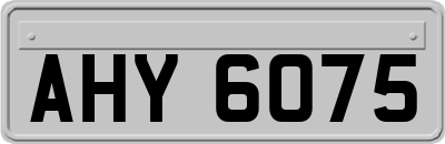 AHY6075