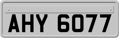 AHY6077