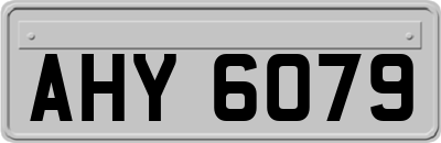 AHY6079