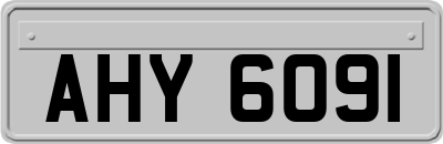 AHY6091