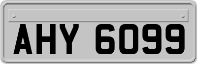 AHY6099
