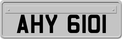 AHY6101