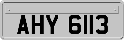 AHY6113