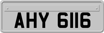AHY6116