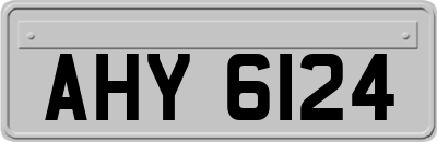 AHY6124