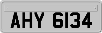 AHY6134