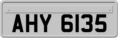 AHY6135