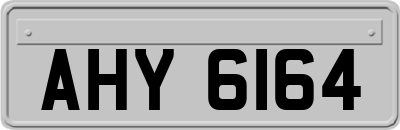 AHY6164